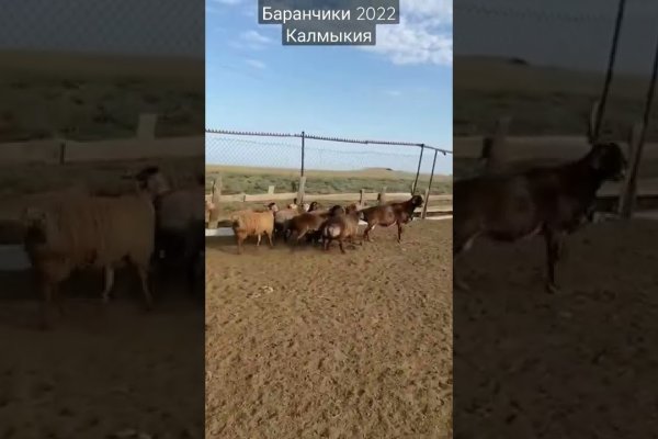 Кракен ссылка на сайт com